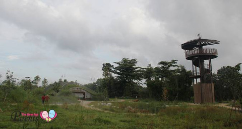 marsh station and raptor tower kranji marshes park