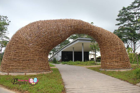 nest entrance at kranji marshes