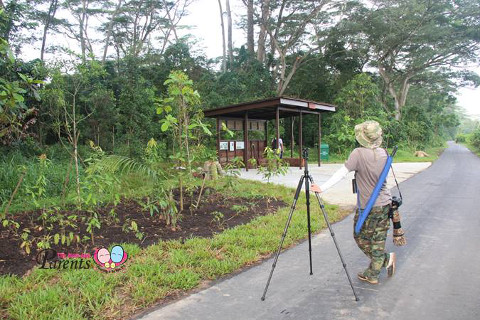 shelters along kranji nature walk