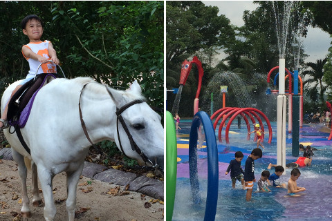 singapore zoo water park