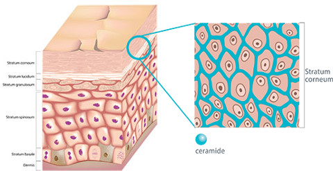 why you need o take care of your baby's skin