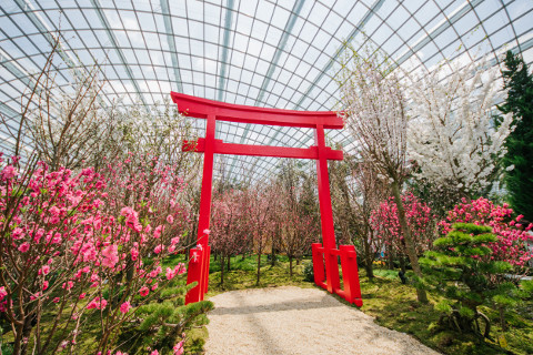 Blossom Beats gardens by the bay