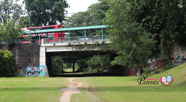 green rail corridor under buona vista bridge