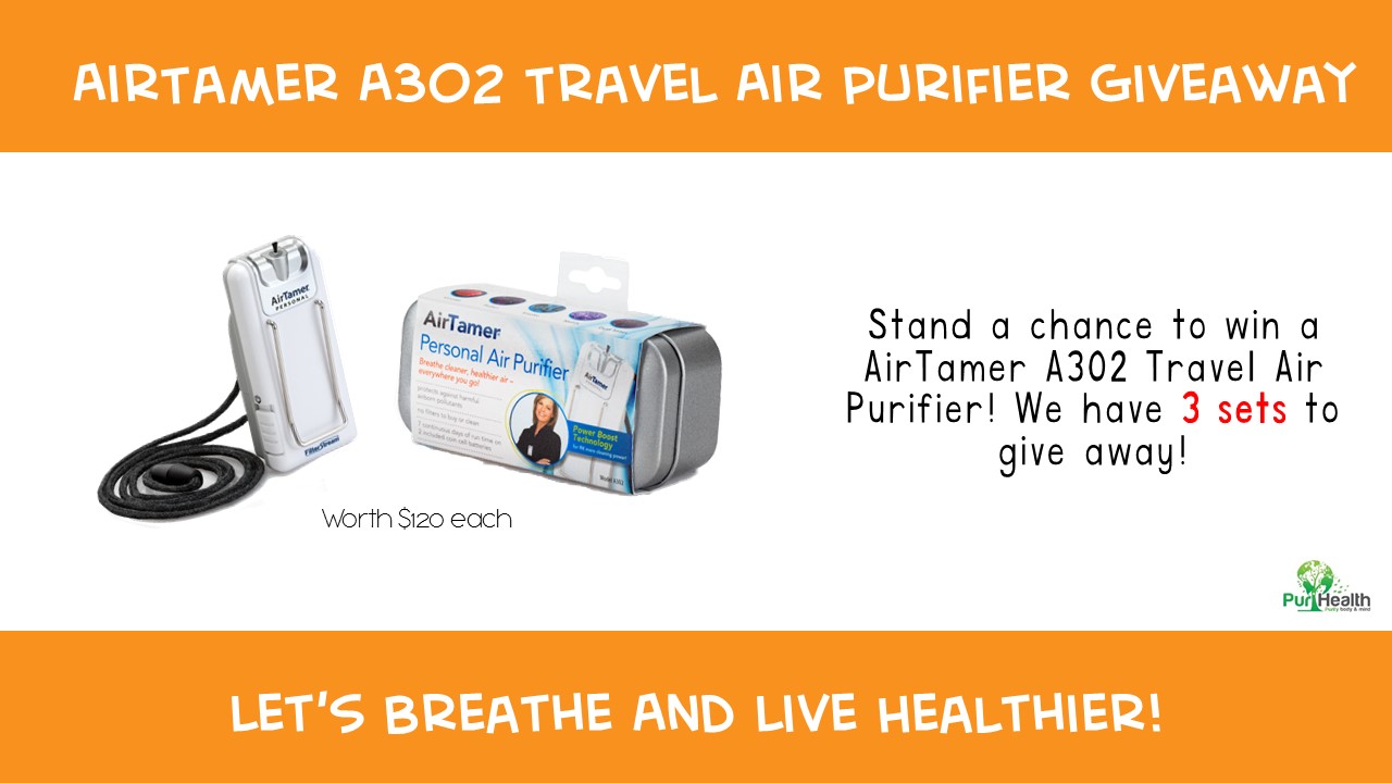 Portable air purifier