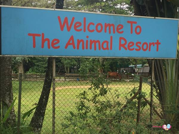 The Animal Resort Seletar West Farmway Singapore