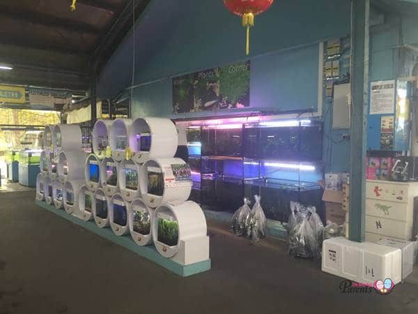 qian hu aquarium nano tank area