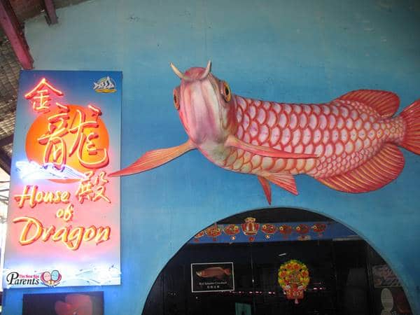 qian hu house of dragon fish