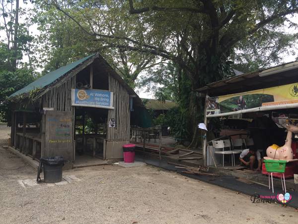 marabout stork in seletar farmway animal resort