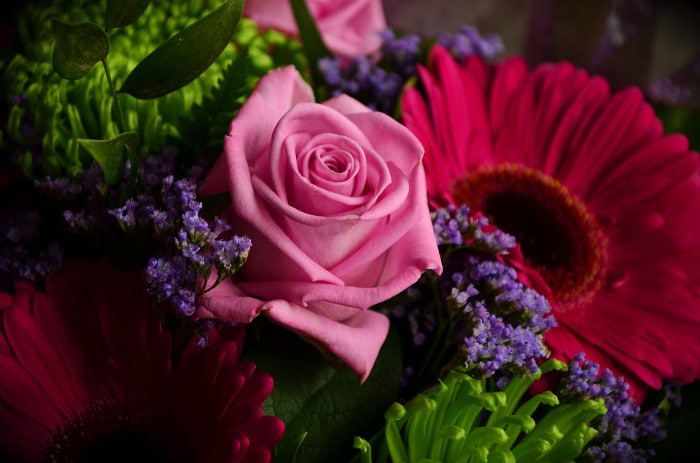 10 Kinds Of Flowers You Can Give Your Wife On Her Birthday - Birth flower