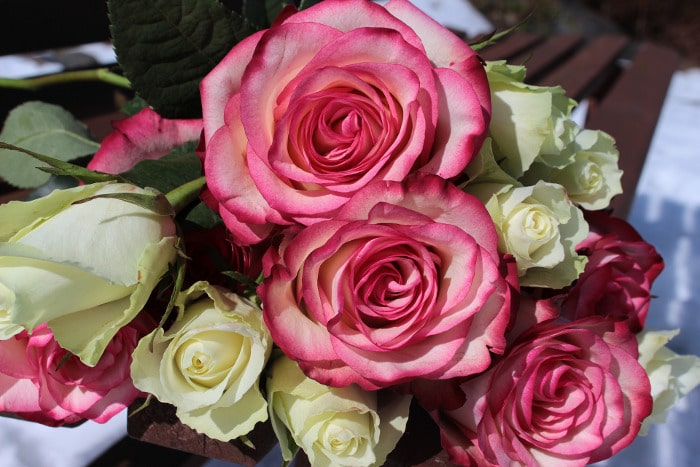 10 Kinds Of Flowers You Can Give Your Wife On Her Birthday - Roses