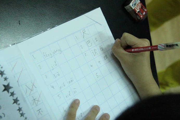 How to improve Primary School Chinese Molin