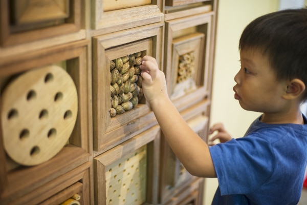 Playeum exhibit Knock, Knock - Bug Hotel