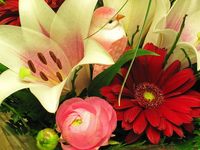 10 Kinds Of Flowers You Can Give Your Wife On Her Birthday