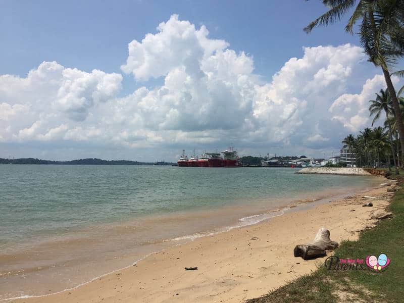 beach at pasir ris park