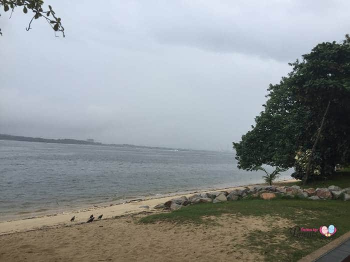 beach during high tide sembawang park