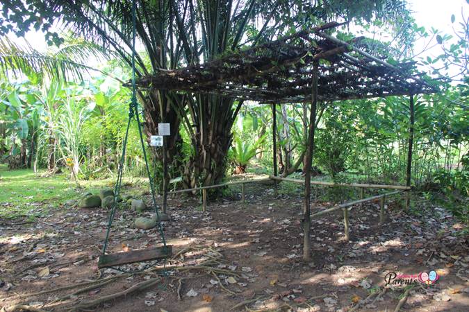 kampong feel man-made swing at bollywood veggies singapore