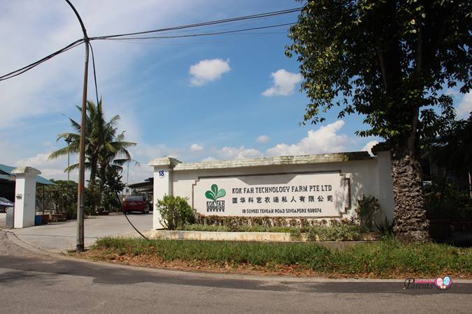 kok fah technology farm entrance