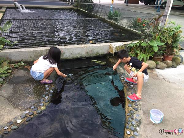 longkang fishing at mainland tropical fish farm singapore