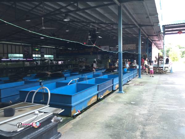 Tropical fish hot sale hatchery