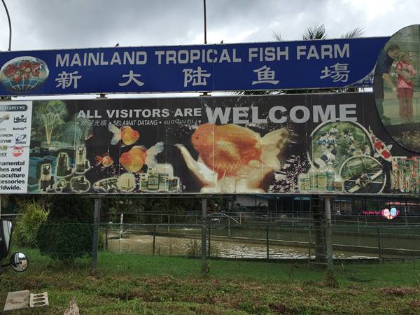 mainland tropical fish farm singapore address