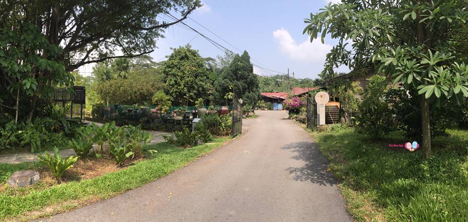 road leading to thow kwang pottery jungle