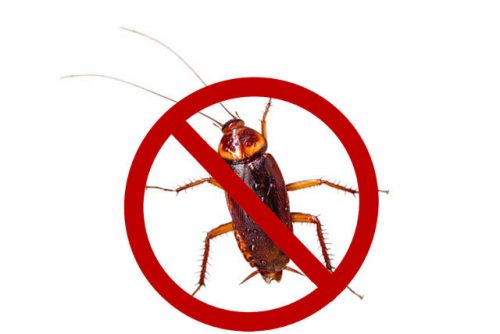 tips on getting rid of cockroaches