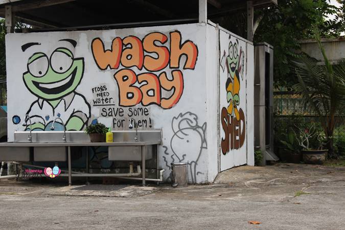 washing area in jurong frog farm