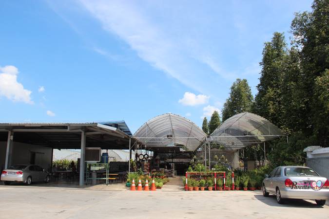 potted flowers and plants at kok kah weekend farm