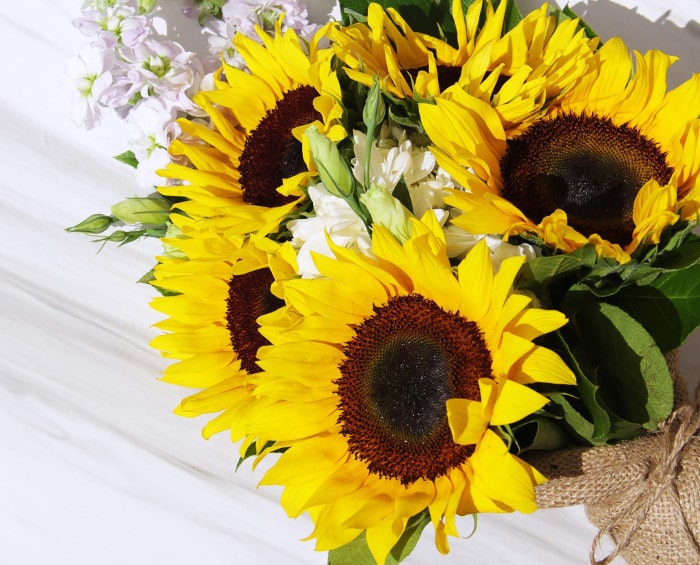 Beautiful Flowers Under $100