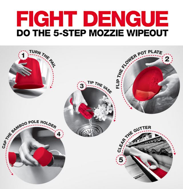 5 Step Mozzie Wipeout