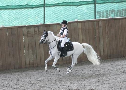 pony rider gallop and go