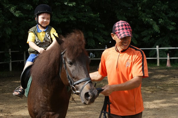 pony rider gallop and go