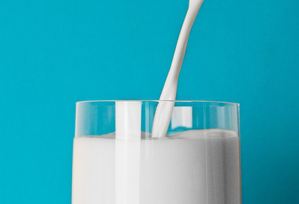 is-milk-really-good-for-you