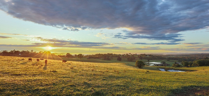 Vacation Experiences For Kids Mowbray Park Farmstay