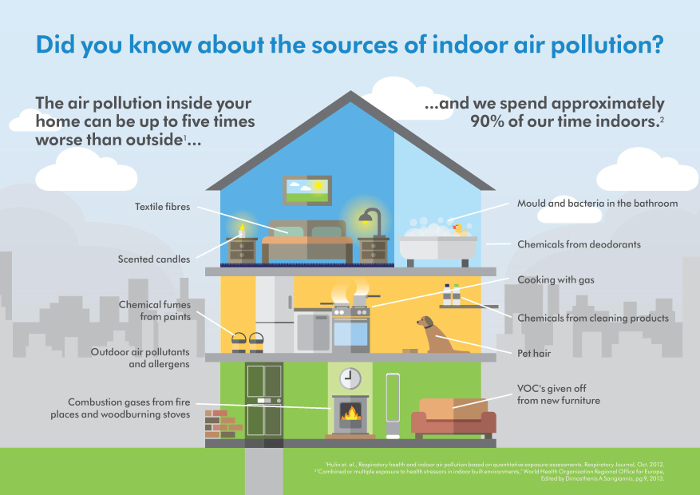 Indoor Air Pollution Infographic