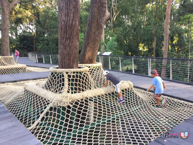 canopy web at sph walk of giants