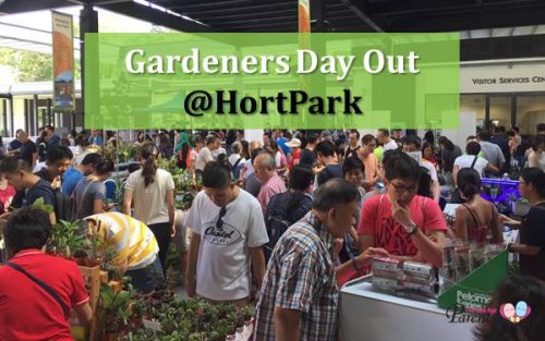gardeners day out gdo at hortpark