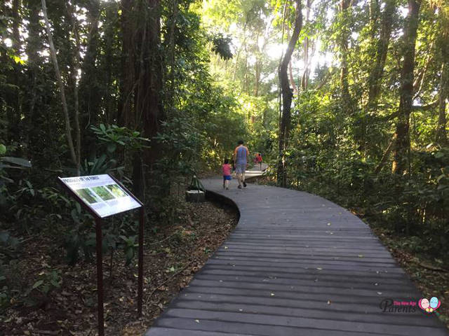 products of the forest singapore botanic gardens