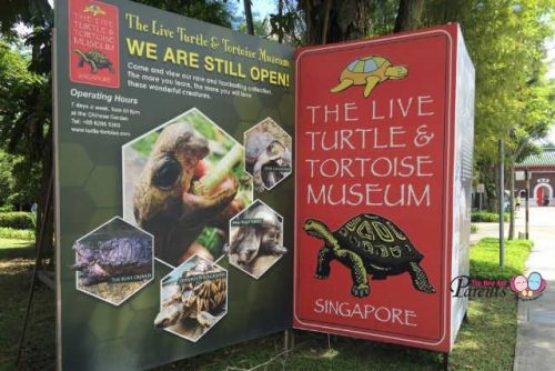 turtle and tortoise museum ORTO