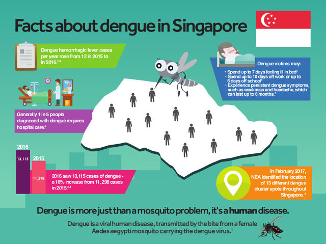 how-to-protect-your-family-from-dengue