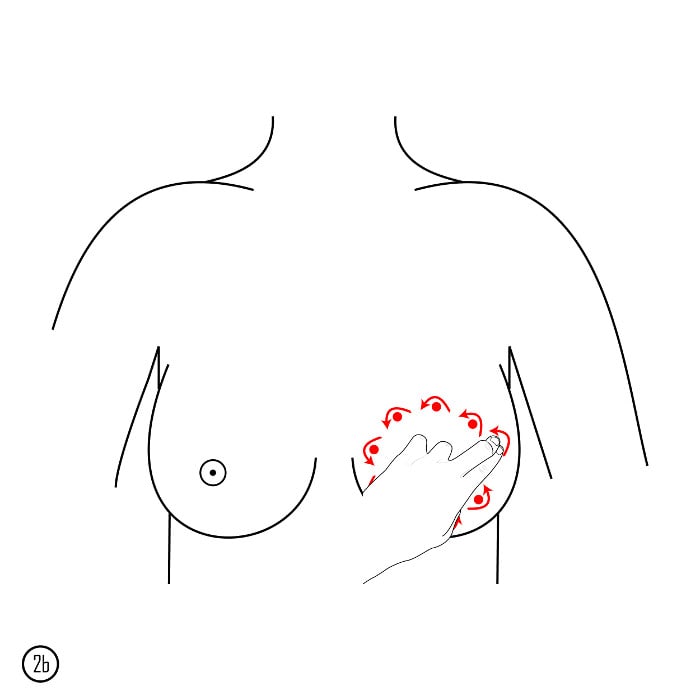 What To Do When Your Breasts Are Engorged — Holistically Loved