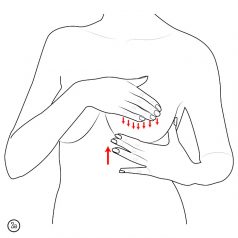 How To Massage Engorged Breasts