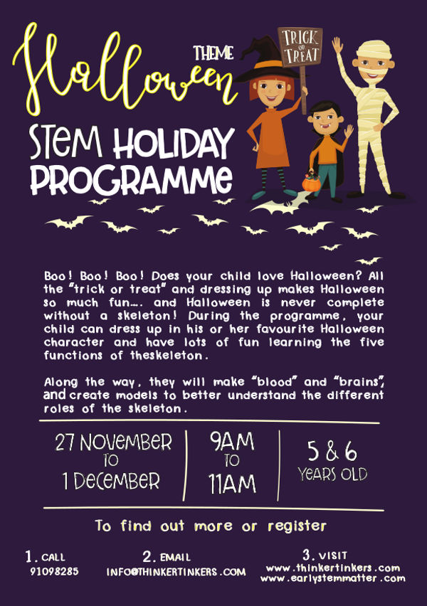 Thinker Tinkers STEM holiday programme