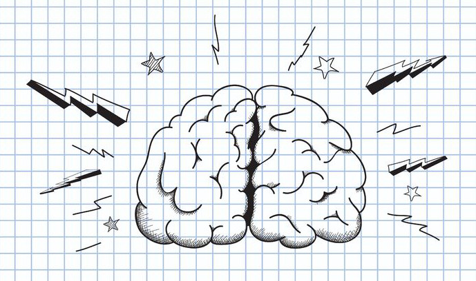 What Children Need For A Holistic Brain Development