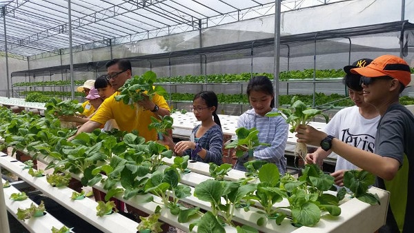 Grace Mission Hydroponic Farm