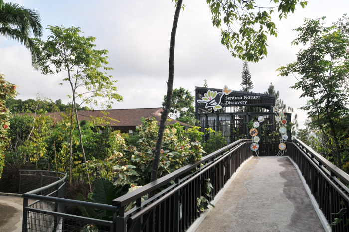 Sentosa Nature Discovery