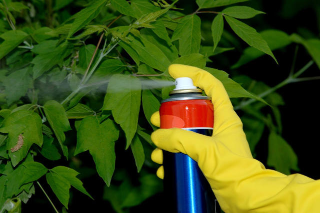 Guide to Pesticides And Insecticide Aerosols