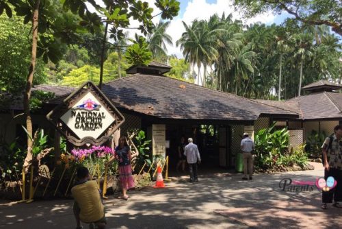 National Orchid Garden Singapore