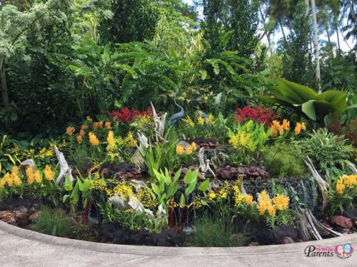 national orchid garden display