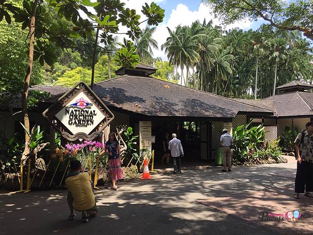 national orchid garden entrance